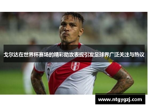 戈尔达在世界杯赛场的精彩助攻表现引发足球界广泛关注与热议