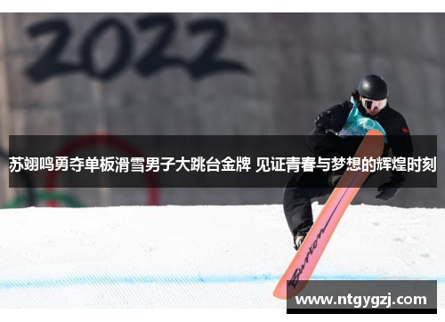 苏翊鸣勇夺单板滑雪男子大跳台金牌 见证青春与梦想的辉煌时刻