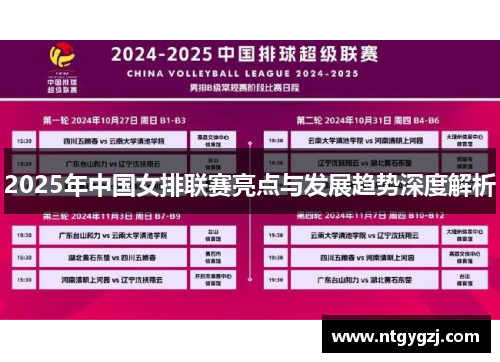 2025年中国女排联赛亮点与发展趋势深度解析