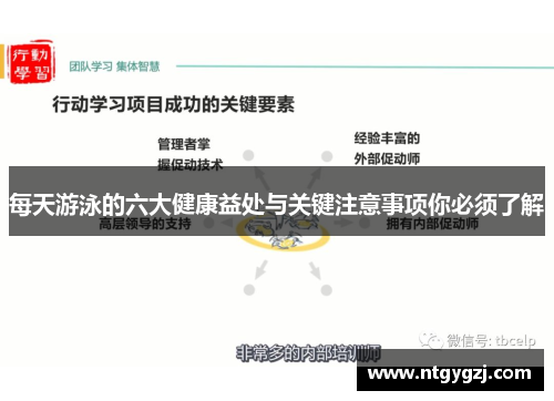 每天游泳的六大健康益处与关键注意事项你必须了解