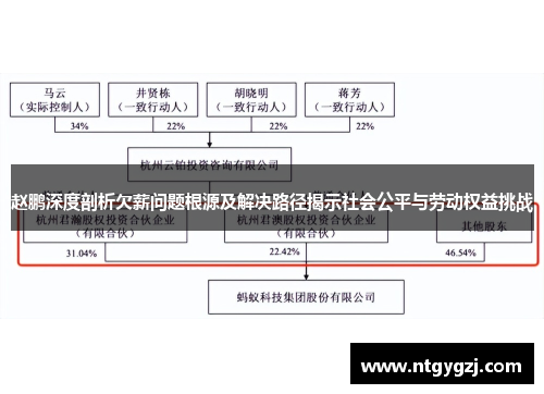 赵鹏深度剖析欠薪问题根源及解决路径揭示社会公平与劳动权益挑战