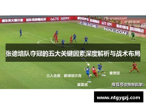 张德培队夺冠的五大关键因素深度解析与战术布局