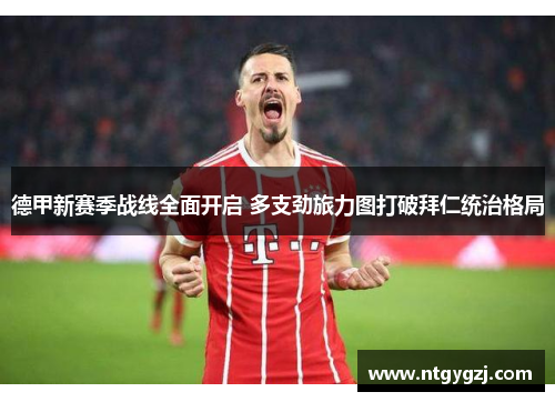 德甲新赛季战线全面开启 多支劲旅力图打破拜仁统治格局